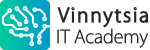 Vinnytsia IT Academy